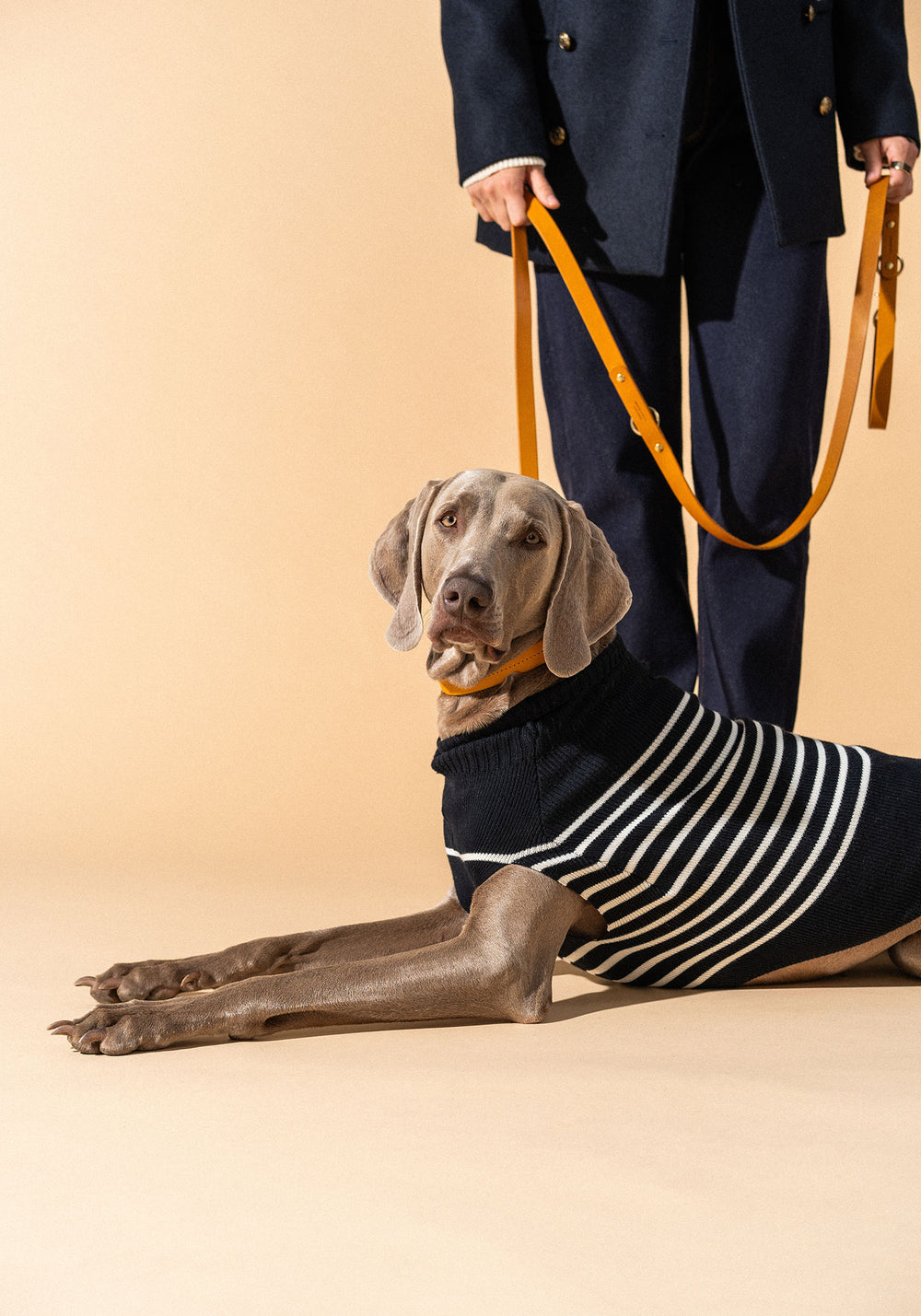Toutoupull (NAVY/ECUME)