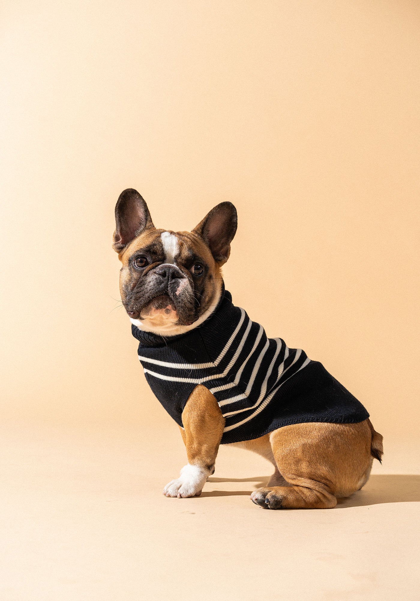 Toutoupull (NAVY/ECUME)