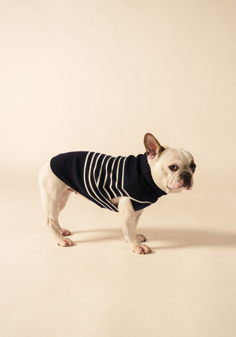 Toutoupull phosphorescent - en laine (NAVY/PHOSPHORESCENT)