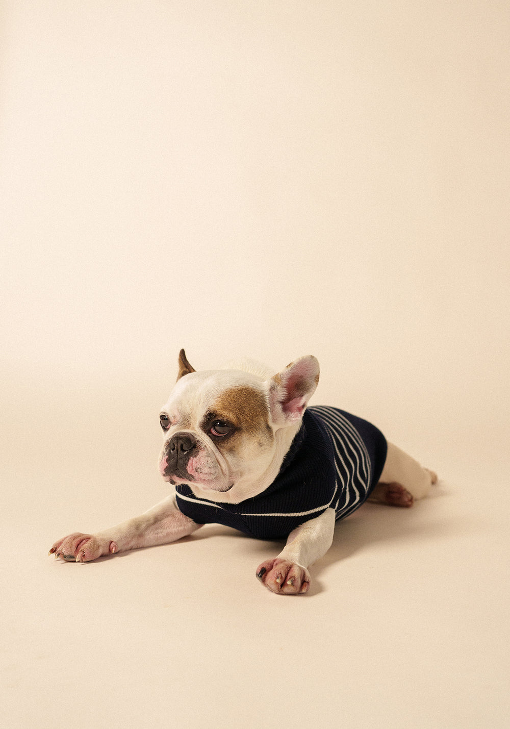 Toutoupull phosphorescent - en laine (NAVY/PHOSPHORESCENT)